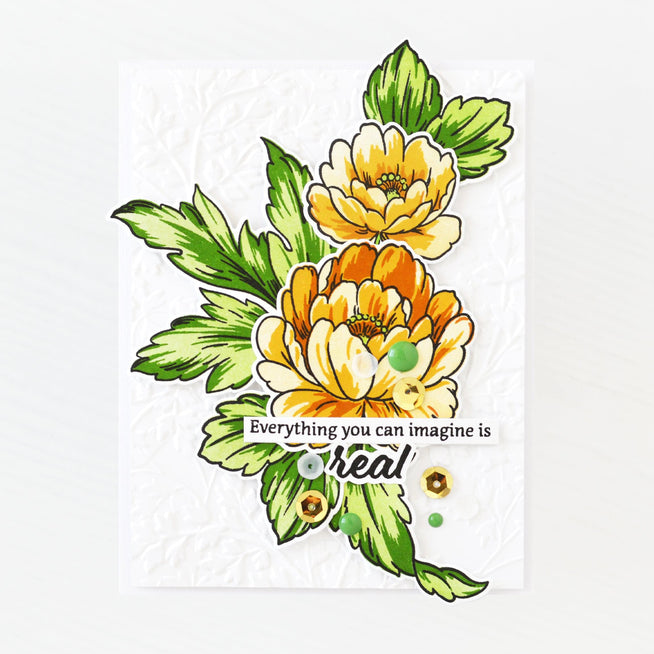 Photocentric Stencil Book Engravings Simple Coloring Stencil