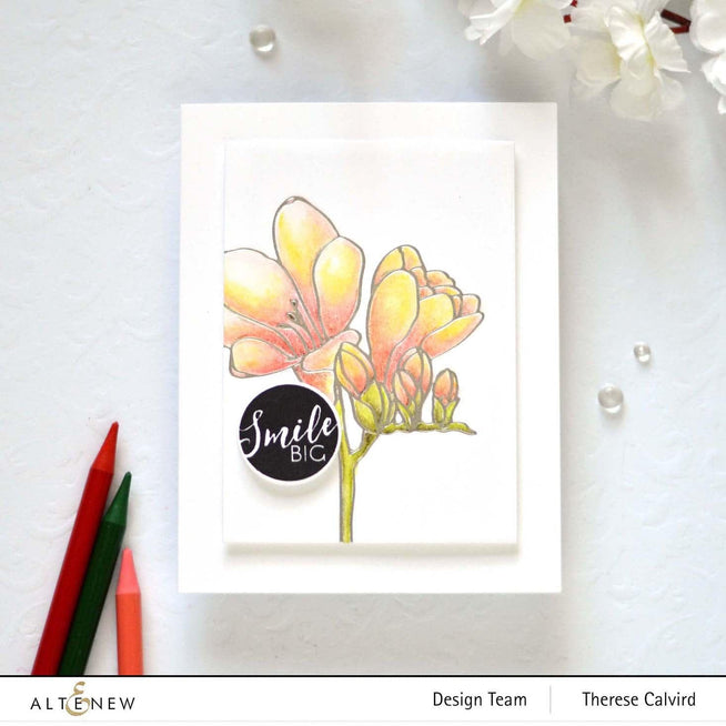 EXP Factors Stencil Freesia Simple Coloring Stencil Set (2 in 1)