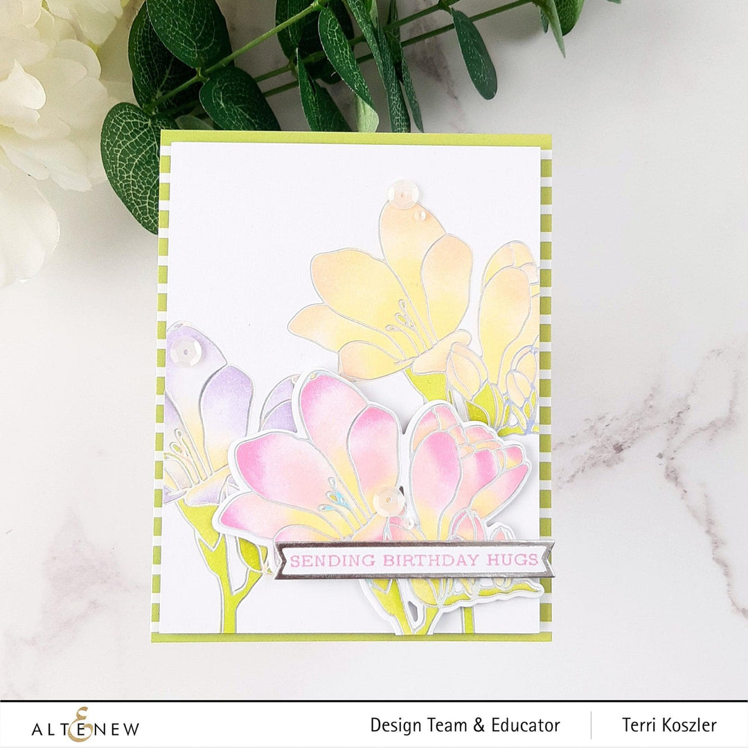 EXP Factors Stencil Freesia Simple Coloring Stencil Set (2 in 1)