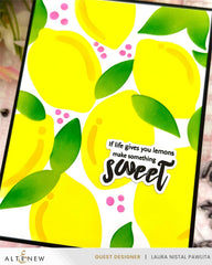 EXP Factors Stencil Lemon Craze Stencil Set (3 in 1)