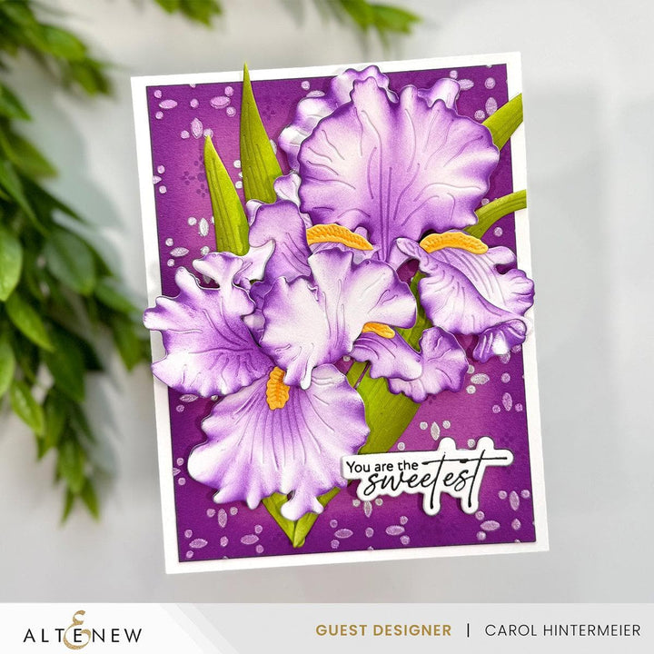 Patterned Petals Stencil Set (4 in 1)